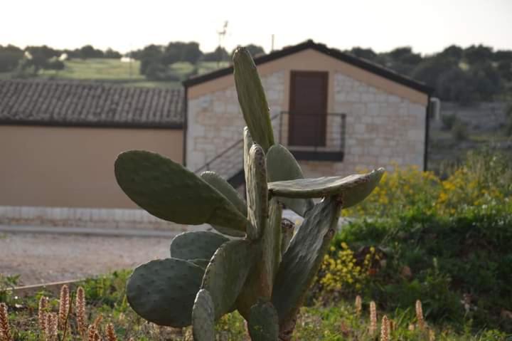 Il Carrubo Holiday House Scicli Εξωτερικό φωτογραφία